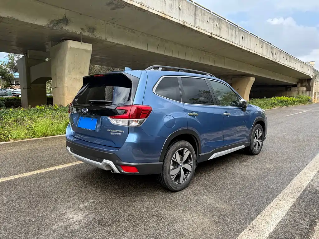 Forester 2019 2.0i Zhiqing flagship version EyeSight купить на сайте DeffCars
