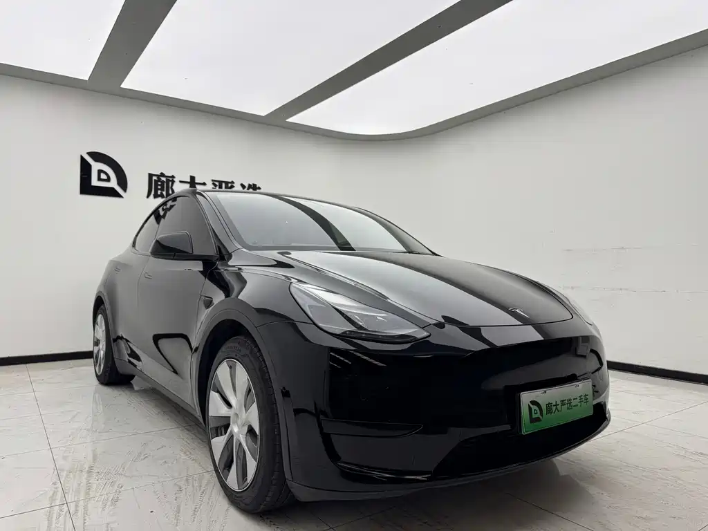 Model Y 2022 rear-wheel drive version купить на сайте DeffCars