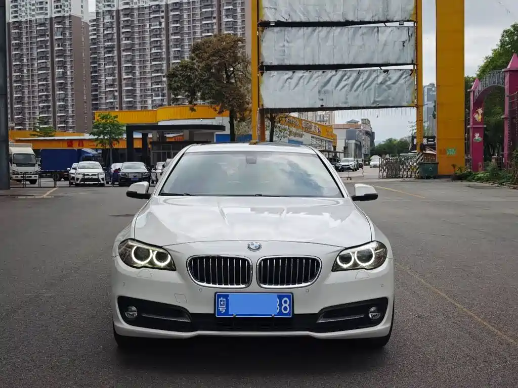 BMW 5 Series 2017 520Li Elegant купить на сайте DeffCars