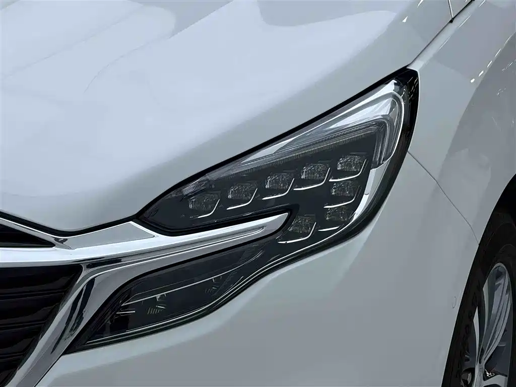 Buick GL8 2022 ES Lu Zun 653T Exclusive Type купить на сайте DeffCars