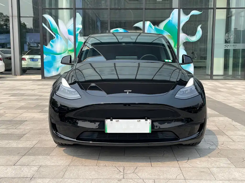 Model Y 2022 rear-wheel drive version купить на сайте DeffCars