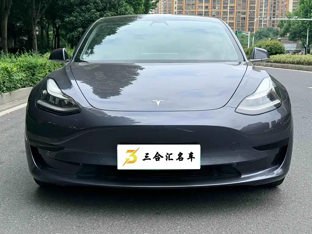 Model 3 2020 Standard Range Rear Drive Upgraded Version купить на сайте DeffCars
