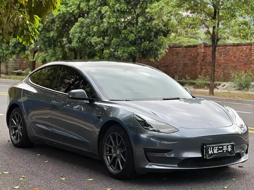 Model 3 2022 rear-wheel drive version купить на сайте DeffCars