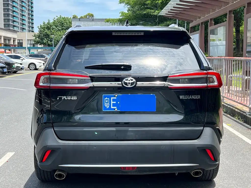 Wilanda 2023 2.0L CVT two-wheel drive luxury PLUS version купить на сайте DeffCars