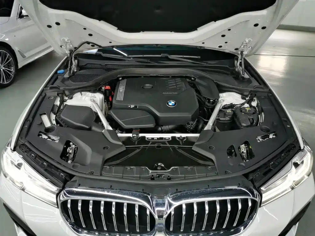 BMW 5 Series 2021 530Li Leading M Sports Package купить на сайте DeffCars