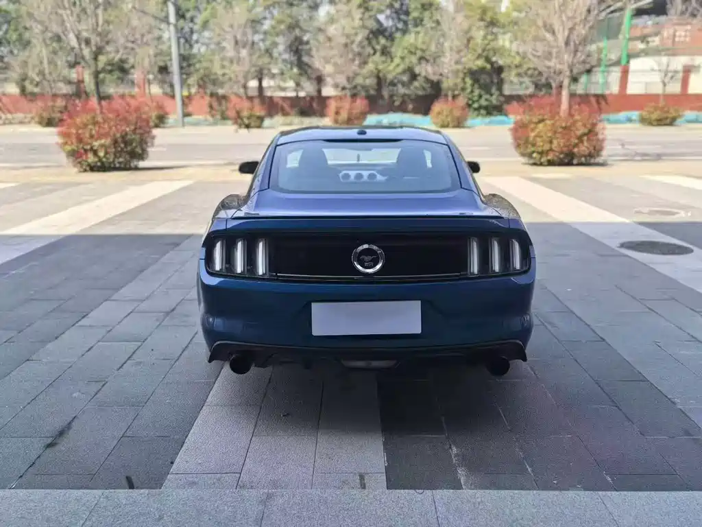 Mustang 2017 2.3T Sports Edition купить на сайте DeffCars