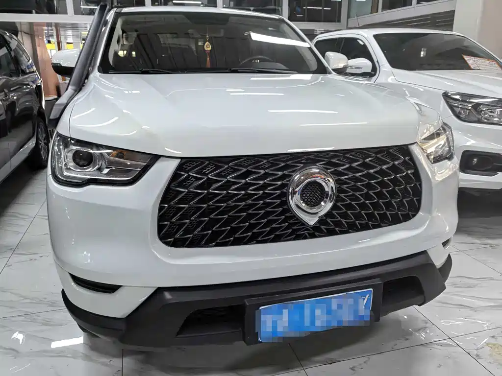 Cannon 2021 2.0T commercial version automatic gasoline four-wheel drive elite long box GW4C20B купить на сайте DeffCars