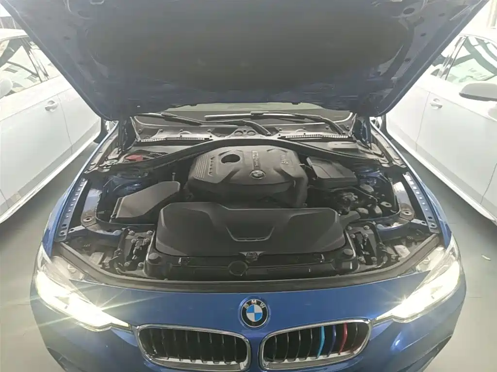 BMW 3 Series 2018 320Li Leading M Sports Package купить на сайте DeffCars