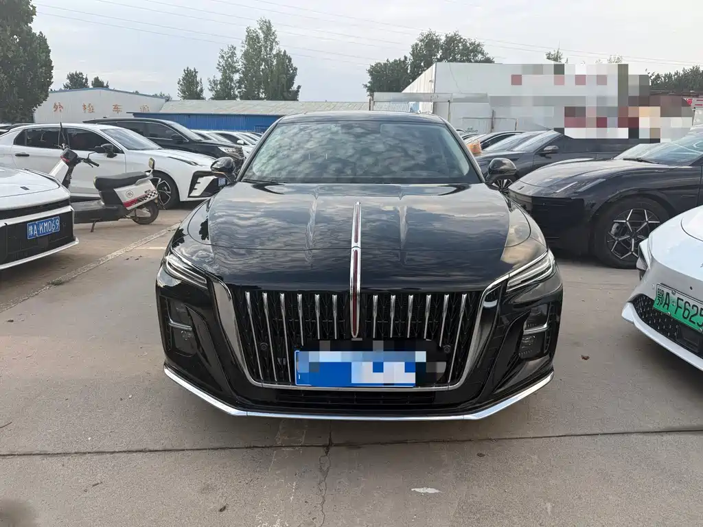 Red Flag Hongqi H5 2025 2.0T Automatic купить на сайте DeffCars