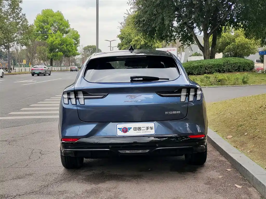 Ford E-horse 2021 Borderless rear-wheel drive luxury version with long battery life купить на сайте DeffCars