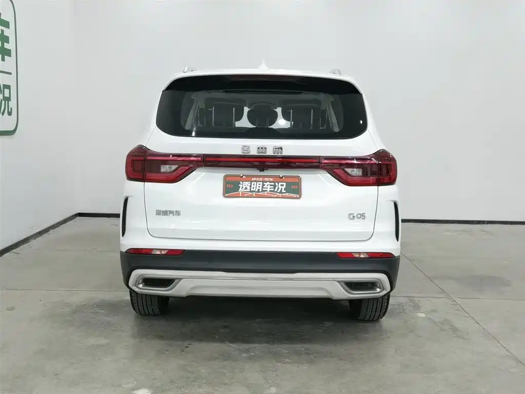 SWM G05 2019 1.5T automatic luxury model купить на сайте DeffCars