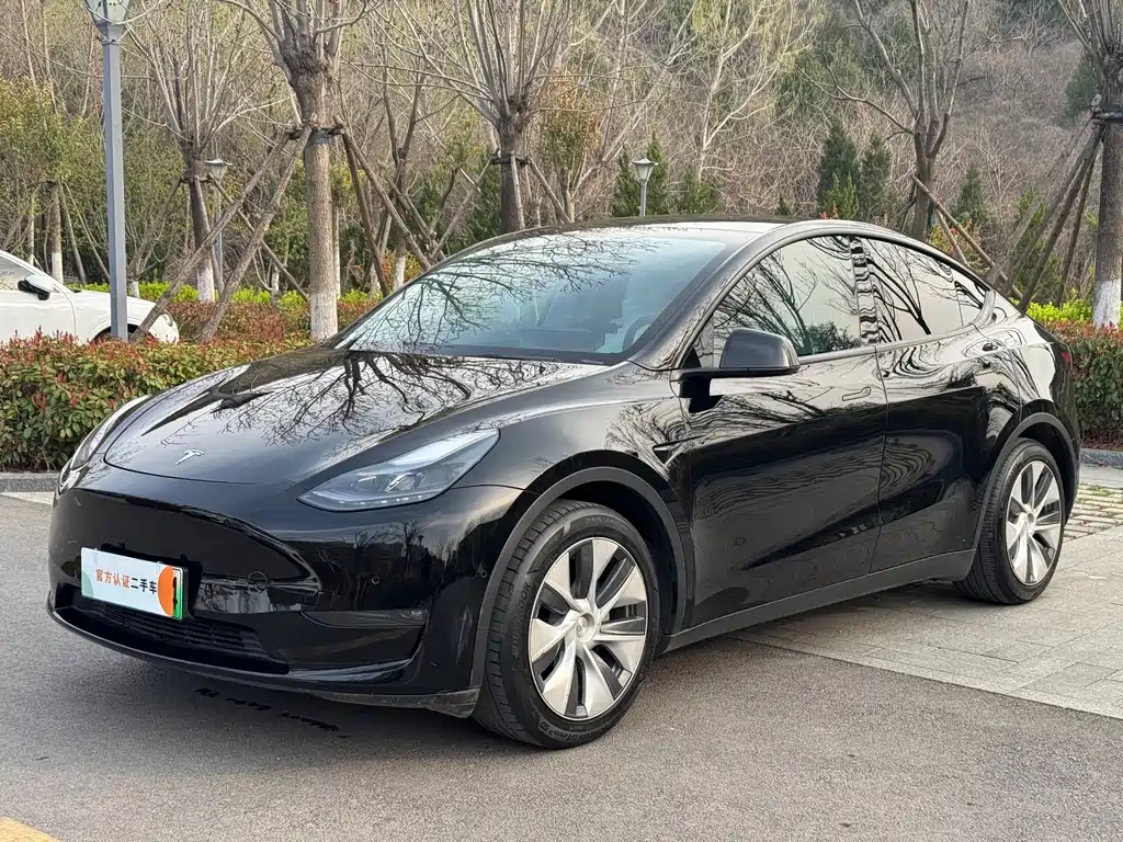 Model Y 2021 standard range rear-wheel drive version купить на сайте DeffCars