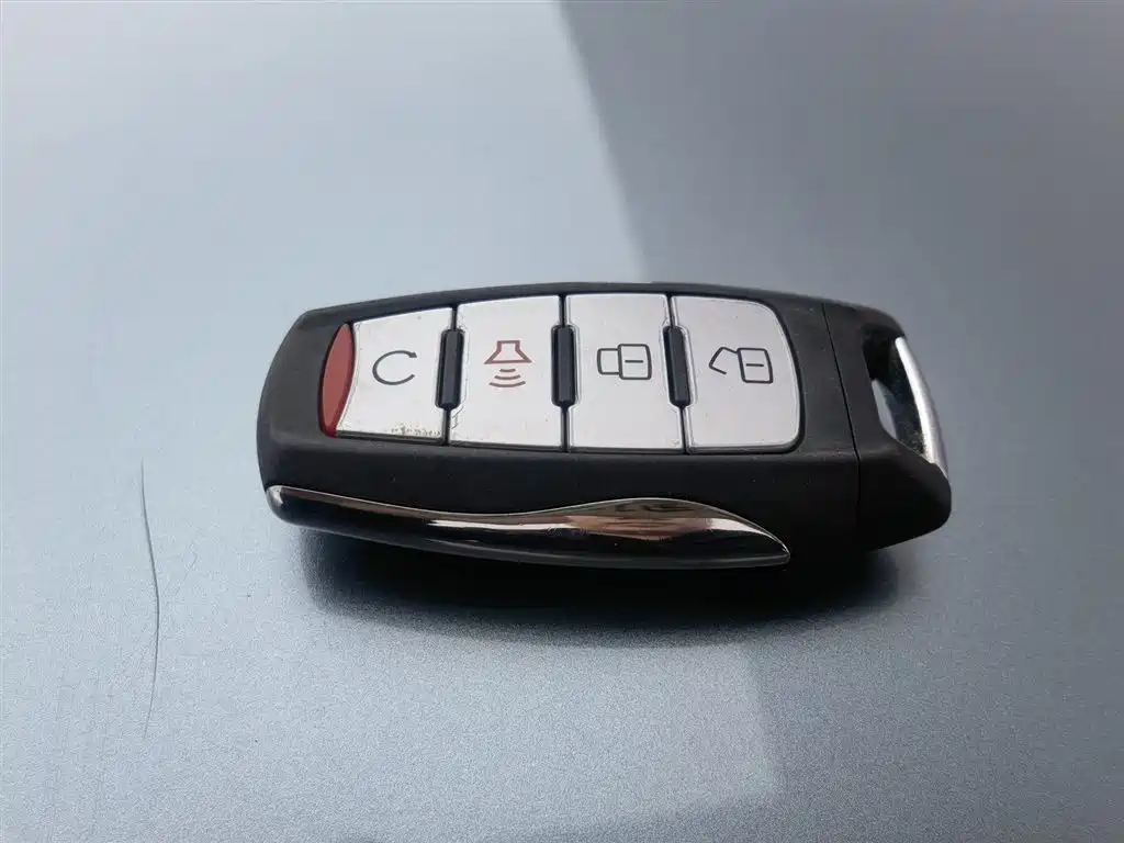 Cannon 2021 2.0T passenger global version automatic gasoline four-wheel drive exclusive standard box GW4C20B купить на сайте DeffCars