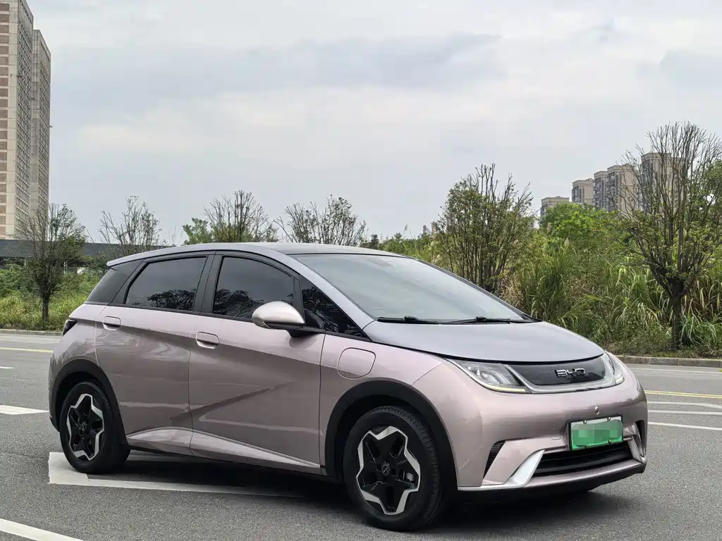 Dolphin 2021 405km Fashion Edition купить на сайте DeffCars