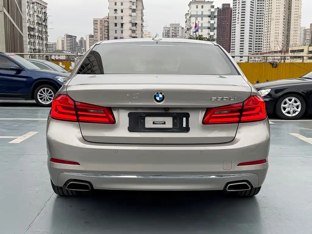 BMW 5 Series 2019 530Li Exclusive Luxury Package купить на сайте DeffCars