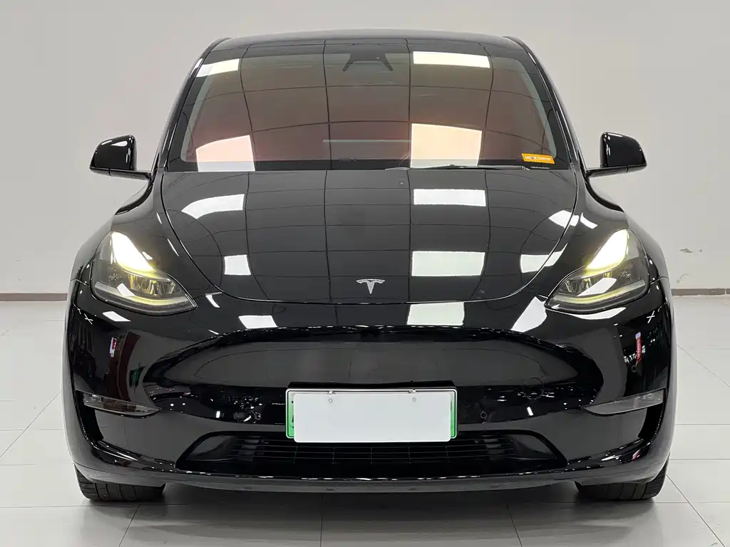 Model Y 2021 standard range rear-wheel drive version купить на сайте DeffCars