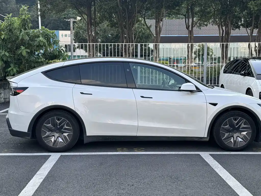 Model Y L 2025 Long Range All-Wheel Drive Edition купить на сайте DeffCars