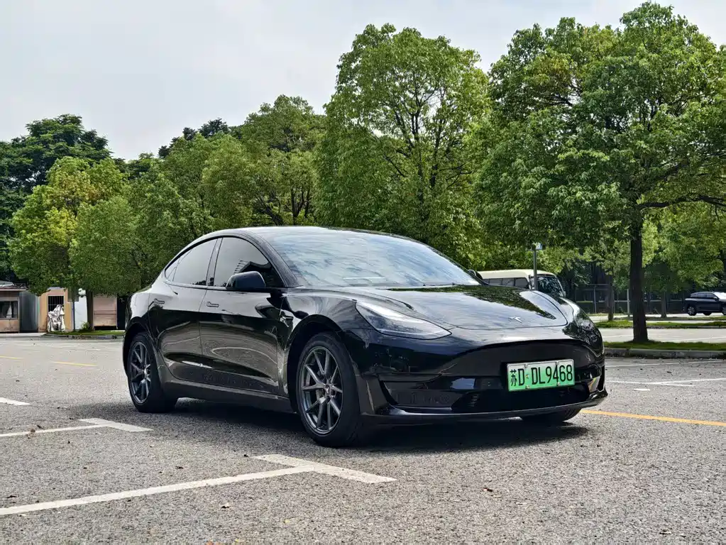Model 3 2022 rear-wheel drive version купить на сайте DeffCars