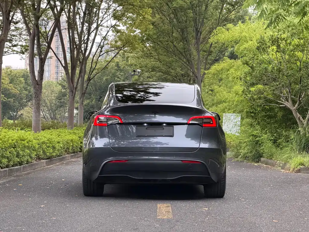 Model Y 2023 long-range all-wheel drive version купить на сайте DeffCars