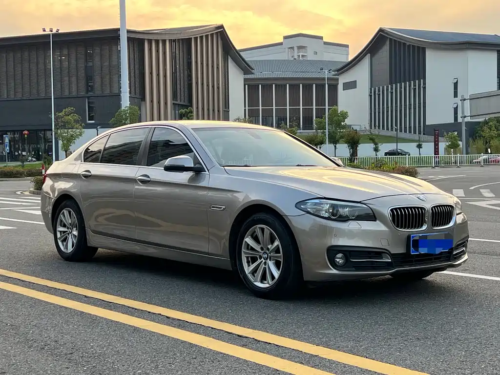 BMW 5 Series 2014 520Li Elegant купить на сайте DeffCars