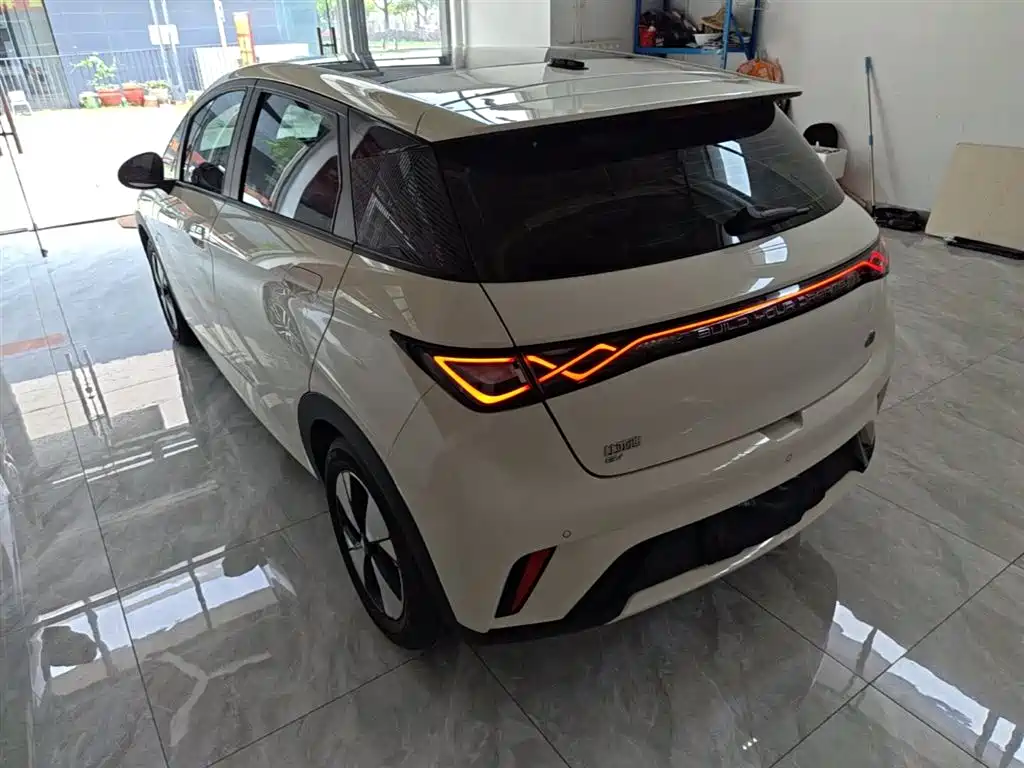 Dolphin 2023 420km Fashion Edition купить на сайте DeffCars