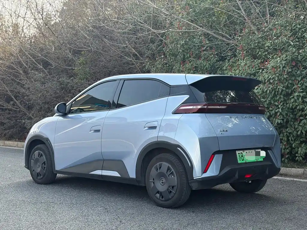 Seagull 2024 Honor Edition 305km Vitality Edition купить на сайте DeffCars