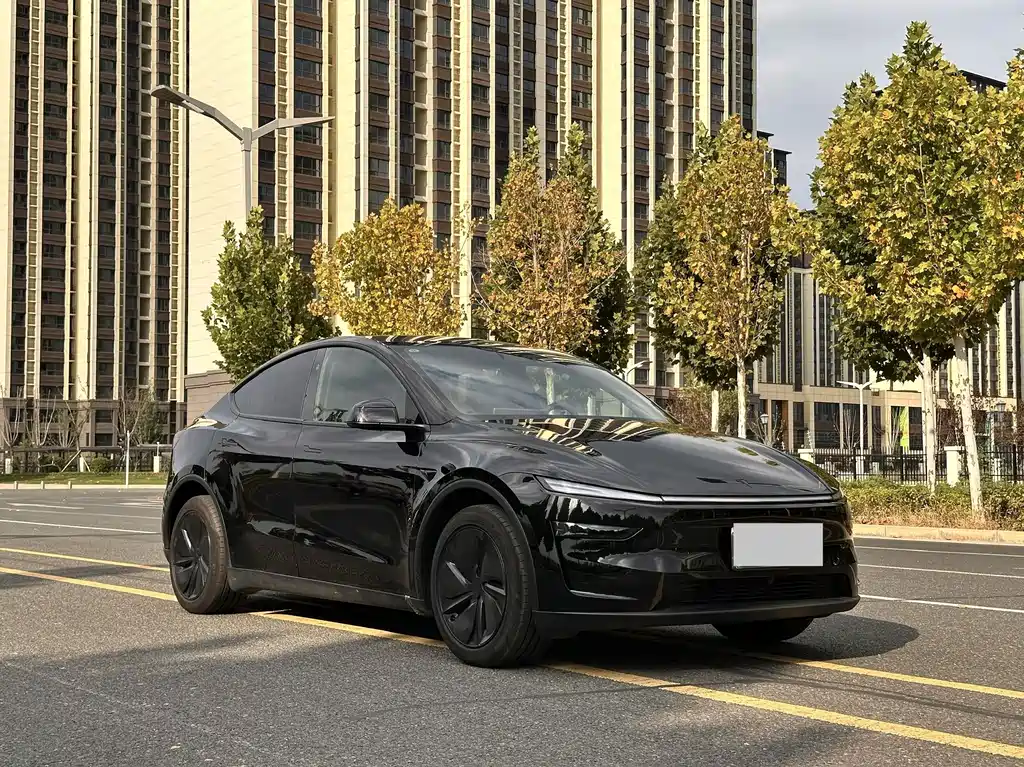 Model Y 2026 rear-wheel drive version купить на сайте DeffCars