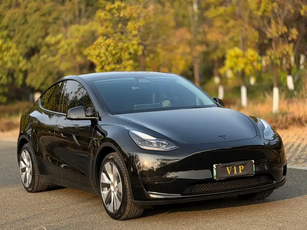 Model Y 2023 rear-wheel drive version купить на сайте DeffCars