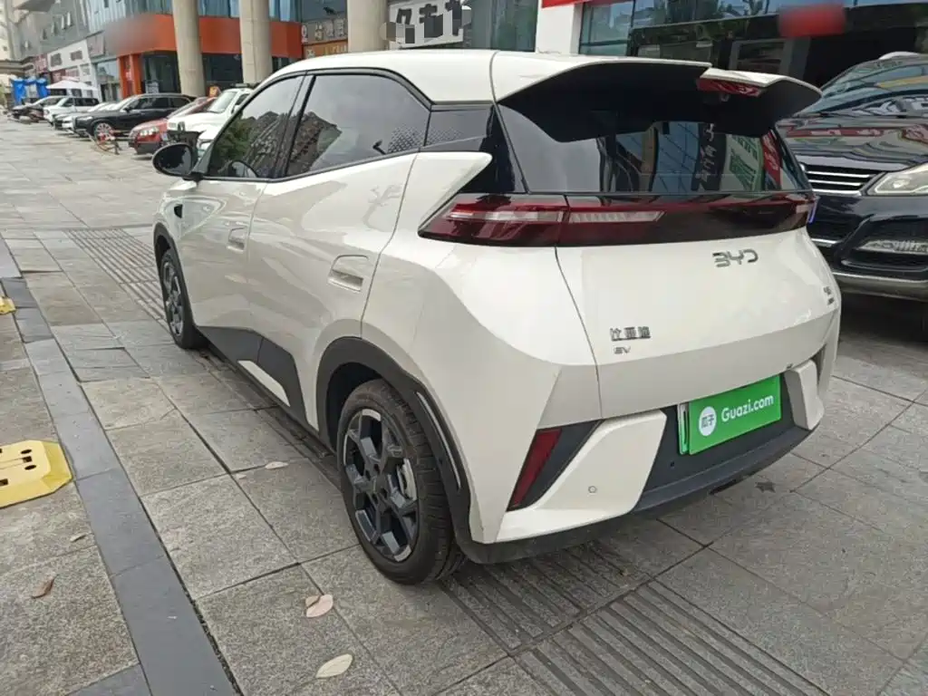 Seagull 2025 smart driving version 305km free version купить на сайте DeffCars