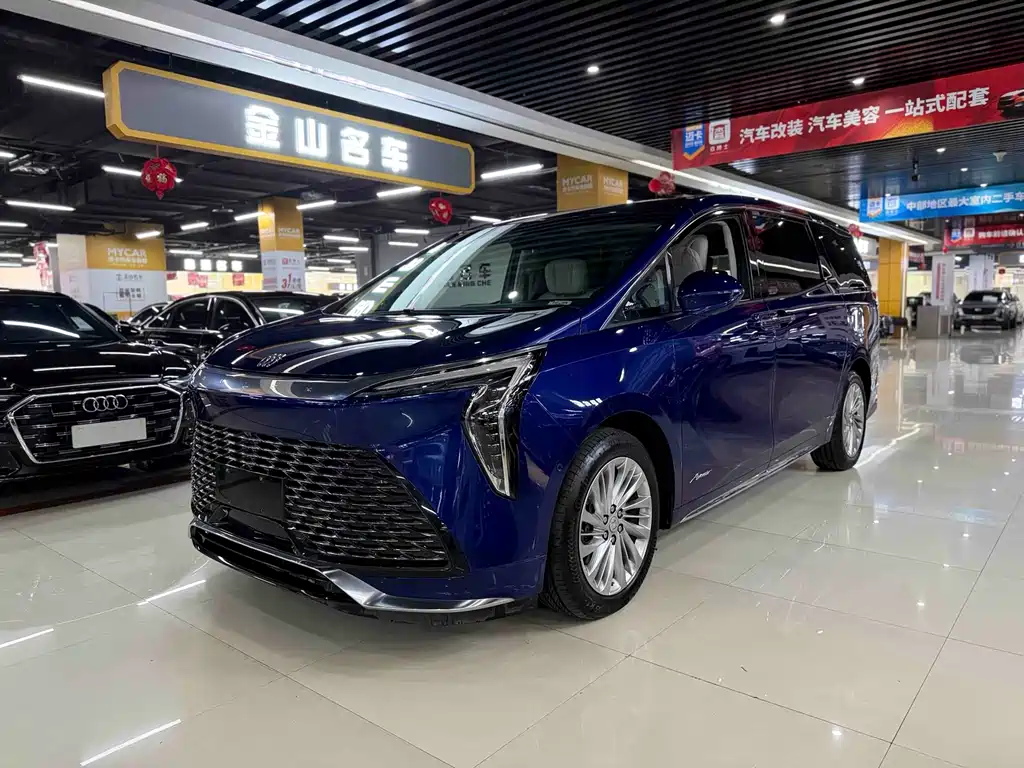 Century 2023 2.0T Six-seater Yuanshi Edition купить на сайте DeffCars