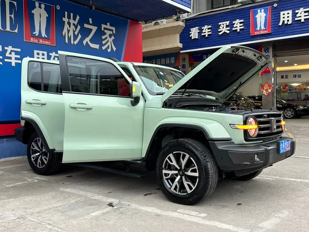 Tank 300 2021 City Edition 2.0T Very Stylish купить на сайте DeffCars