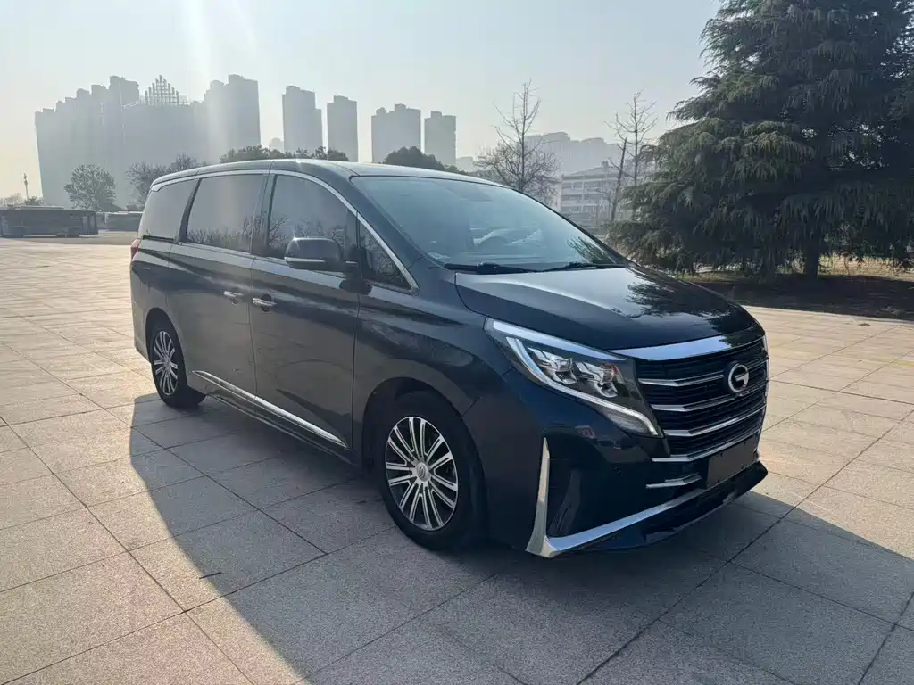 Trumpchi M8 2021 Master Series 390T Extreme Edition купить на сайте DeffCars