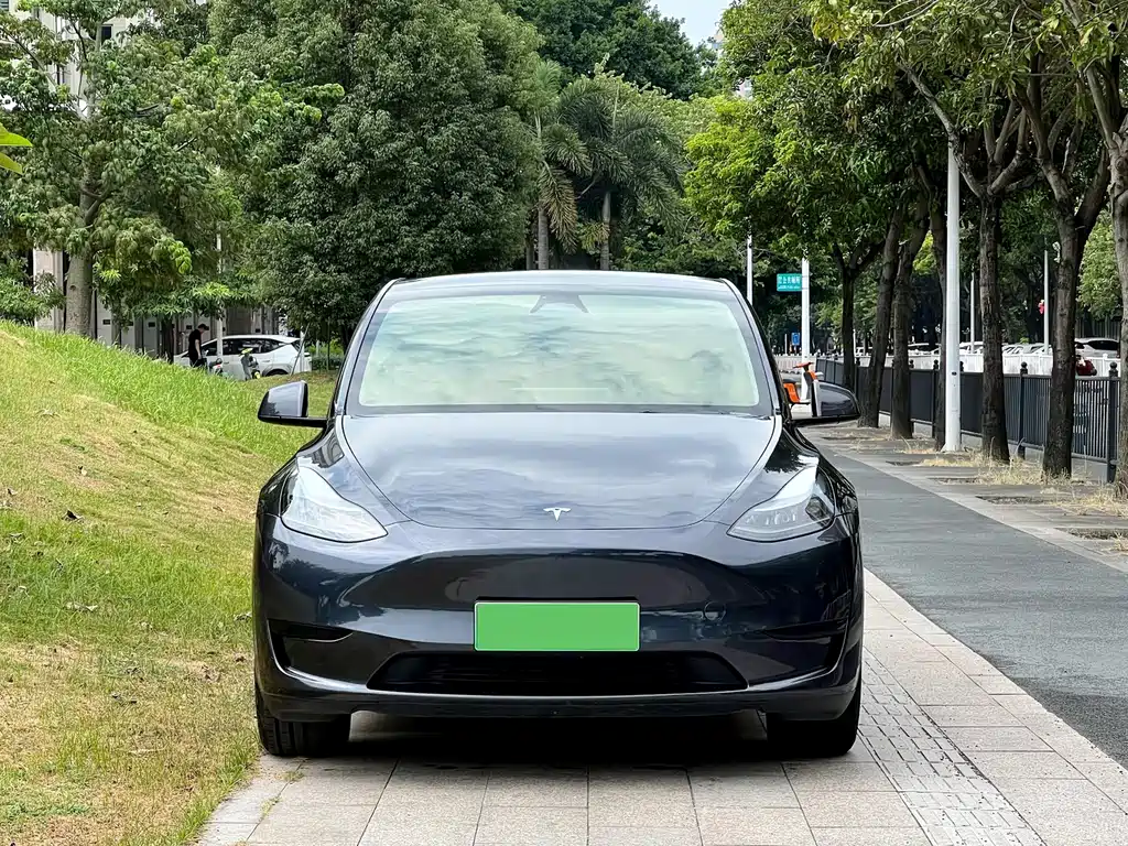 Model Y 2024 rear-wheel drive version купить на сайте DeffCars