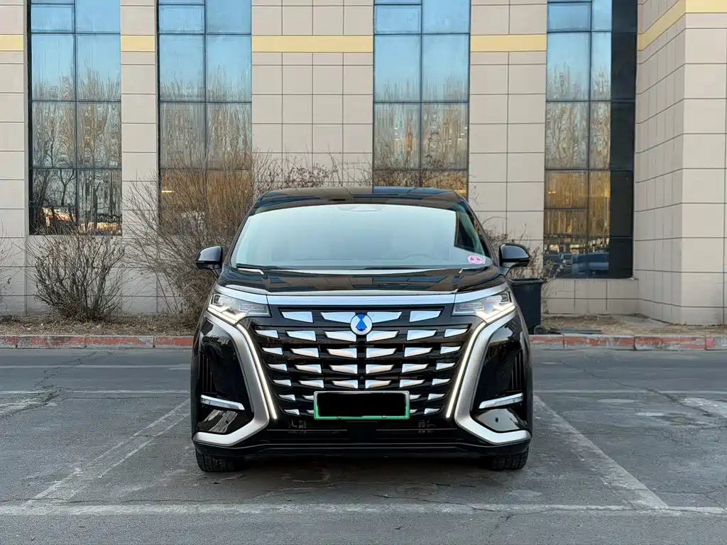 Denza D9 2022 DM-i 970 four-wheel drive flagship model купить на сайте DeffCars