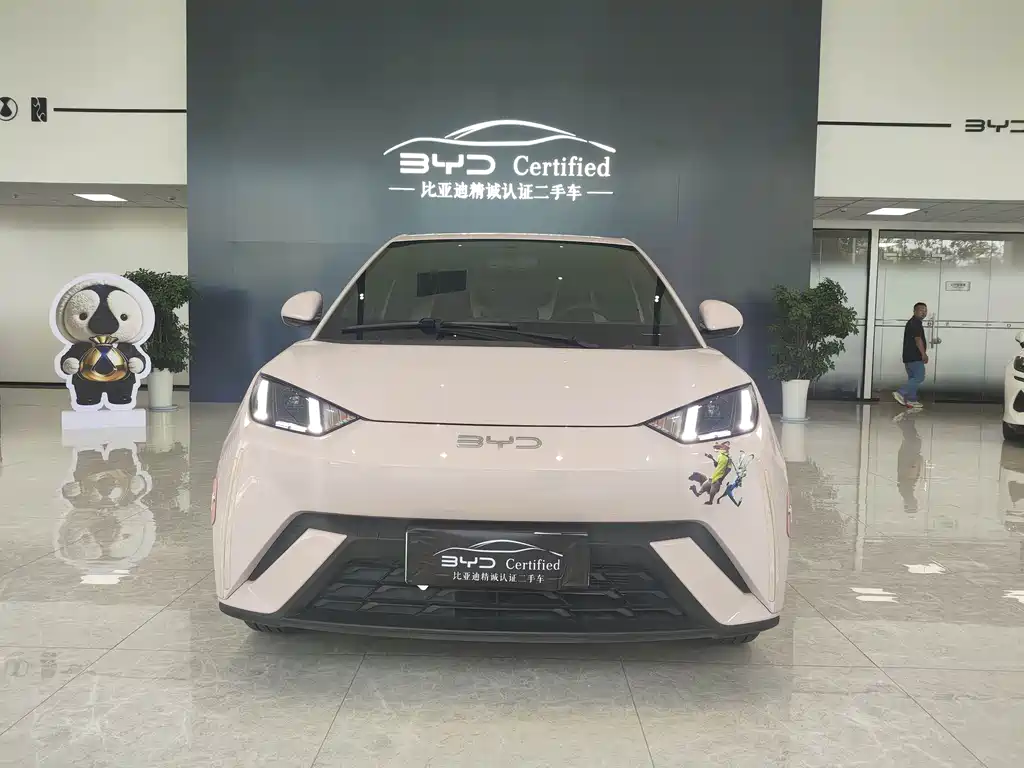 Seagull 2025 model 305km free version купить на сайте DeffCars