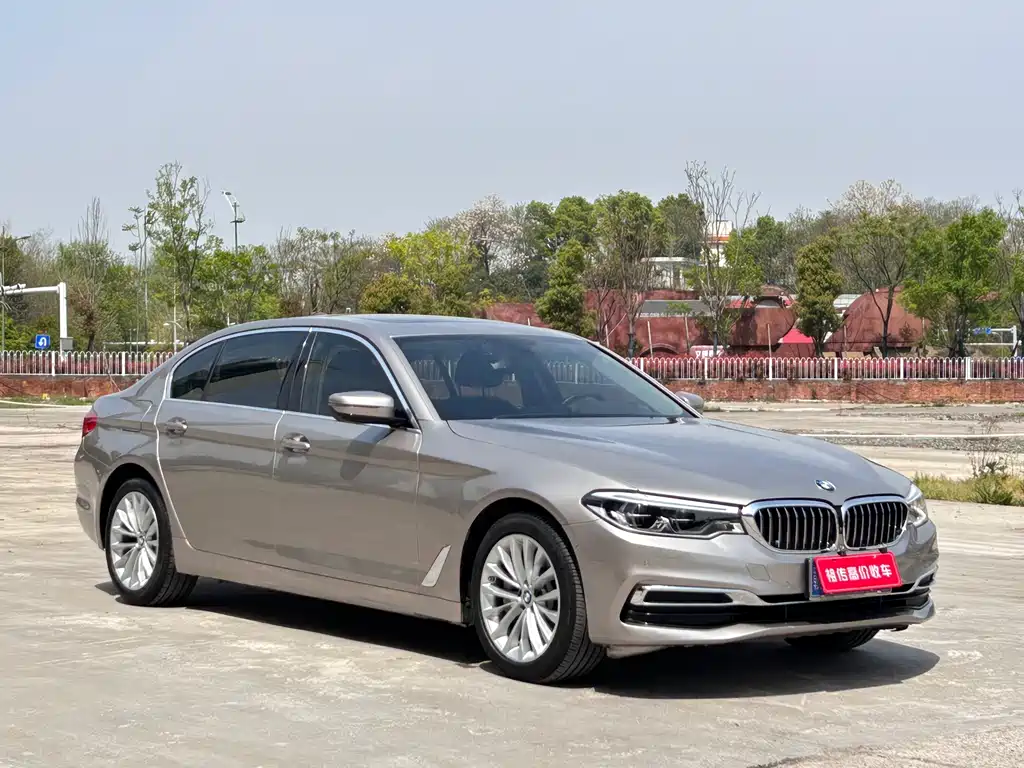 BMW 5 Series 2020 530Li Leading Luxury Package купить на сайте DeffCars