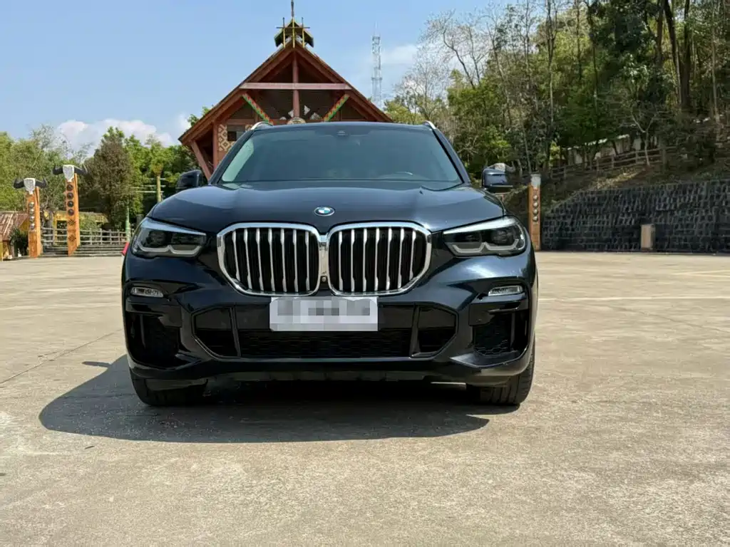 BMW X5 imported 2020 xDrive30i M sports package купить на сайте DeffCars