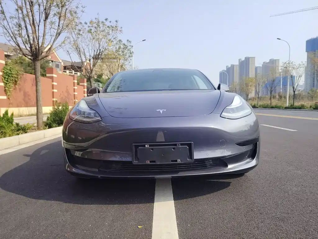 Model 3 2019 standard range rear drive upgraded version купить на сайте DeffCars