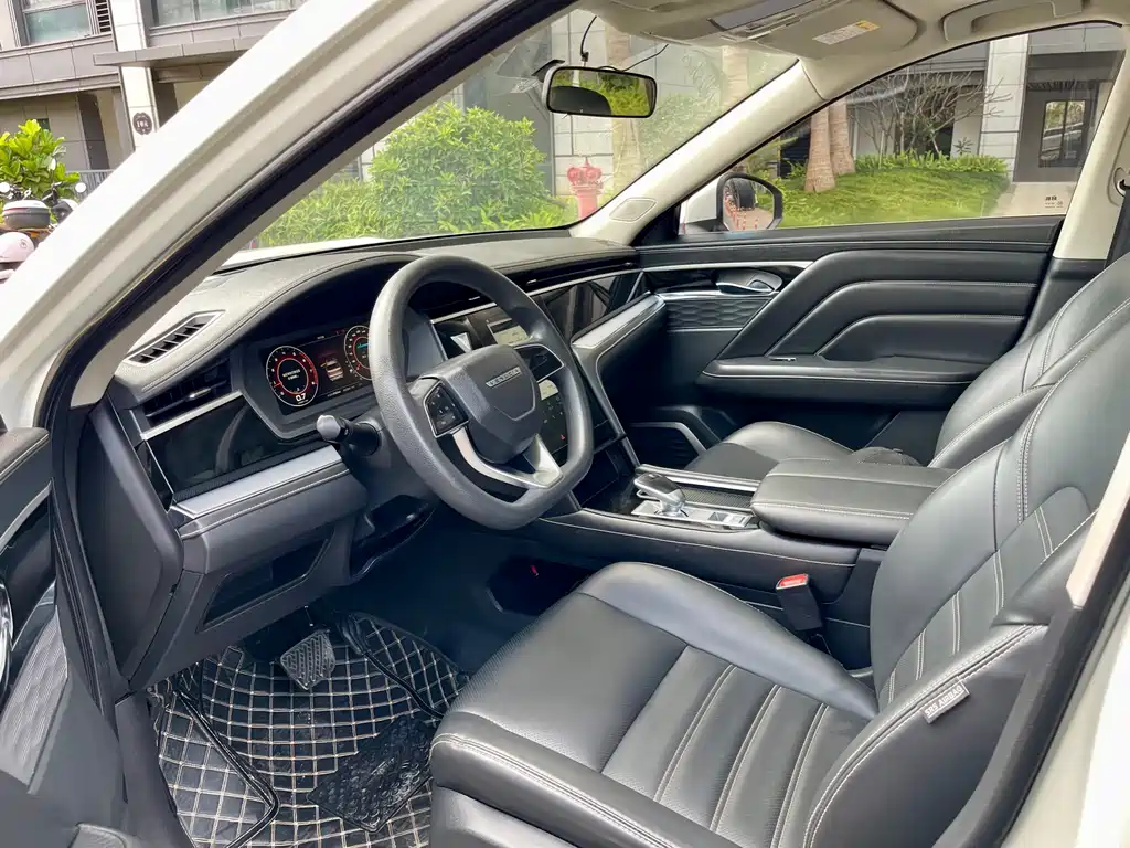 Venucia 2021 260T Automatic Xingshang Edition купить на сайте DeffCars