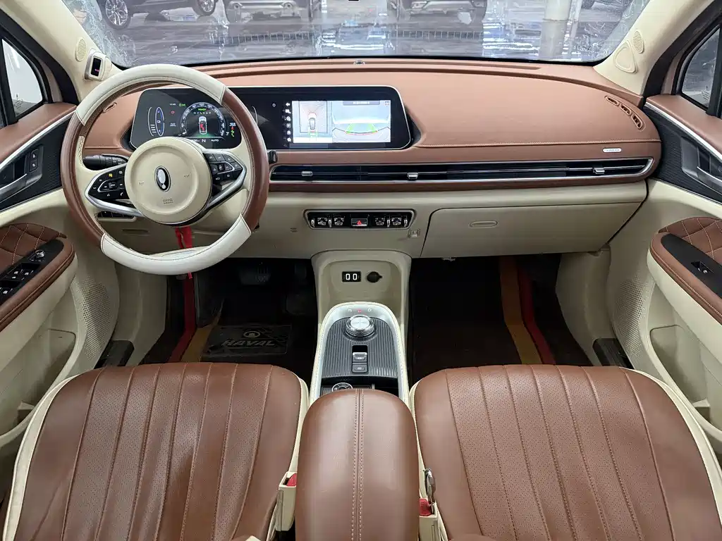 Euler Good Cat 2021 Model 400km Standard Range Athena Edition Lithium Iron Phosphate купить на сайте DeffCars