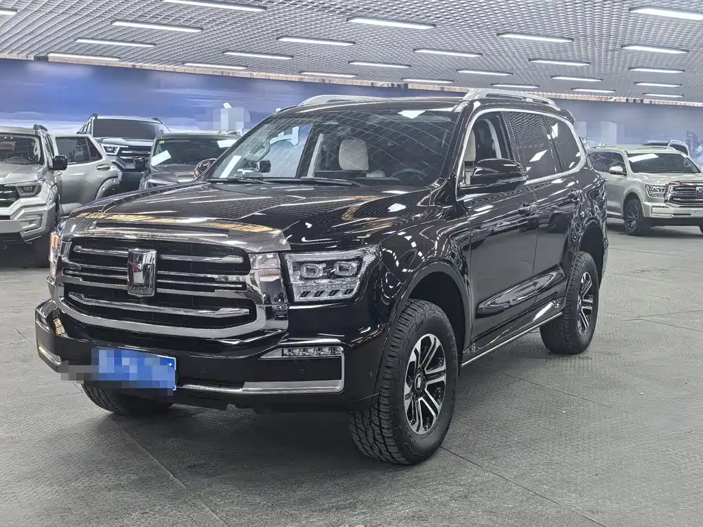 Tank 500 2022 model 3.0T sports version, environment type, 5 seats купить на сайте DeffCars