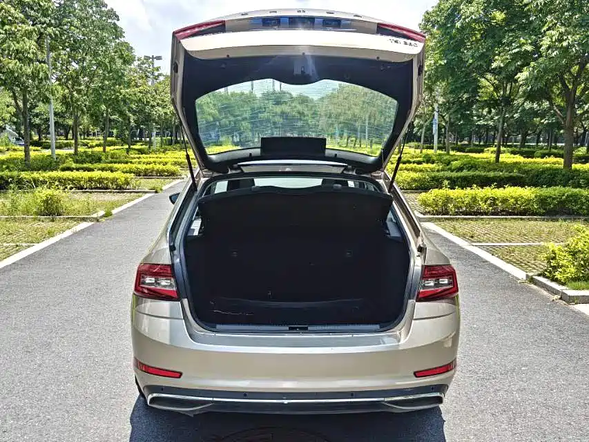 Octavia 2019 TSI280 DSG Smart Deluxe Edition National VI купить на сайте DeffCars
