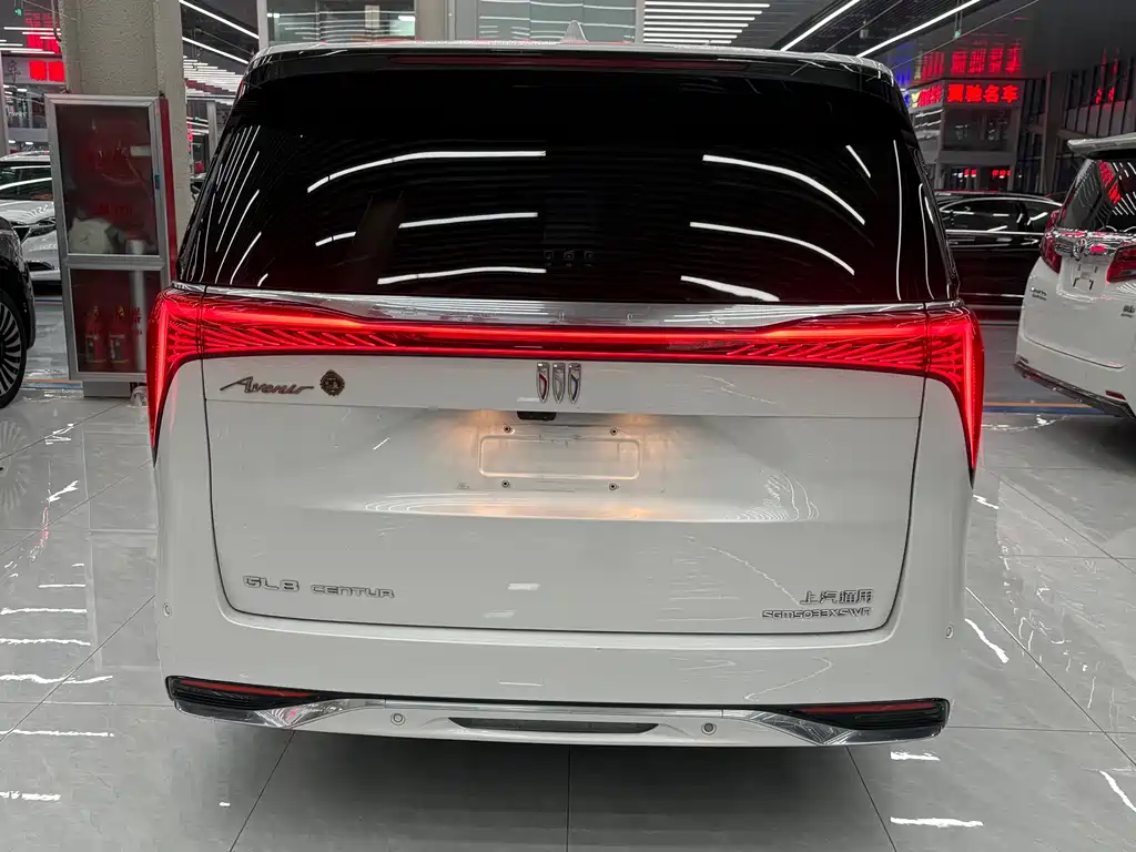 Century 2023 2.0T four-seater private version купить на сайте DeffCars