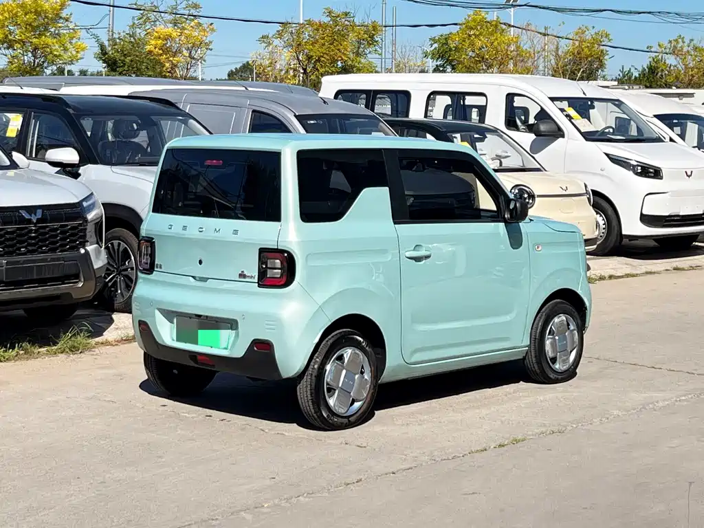 Panda (Geome) 2024 mini 200km Endurance Bear купить на сайте DeffCars
