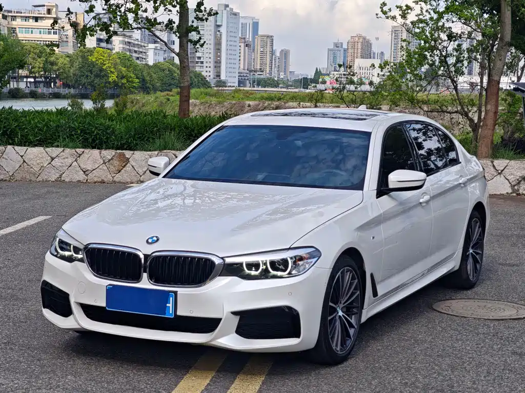 BMW 5 Series 2019 facelift 530Li leading M sports package купить на сайте DeffCars