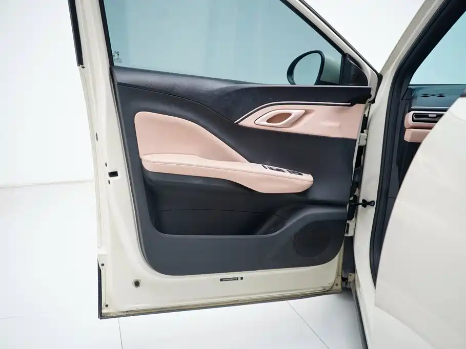 Seagull 2023 Flying Edition купить на сайте DeffCars