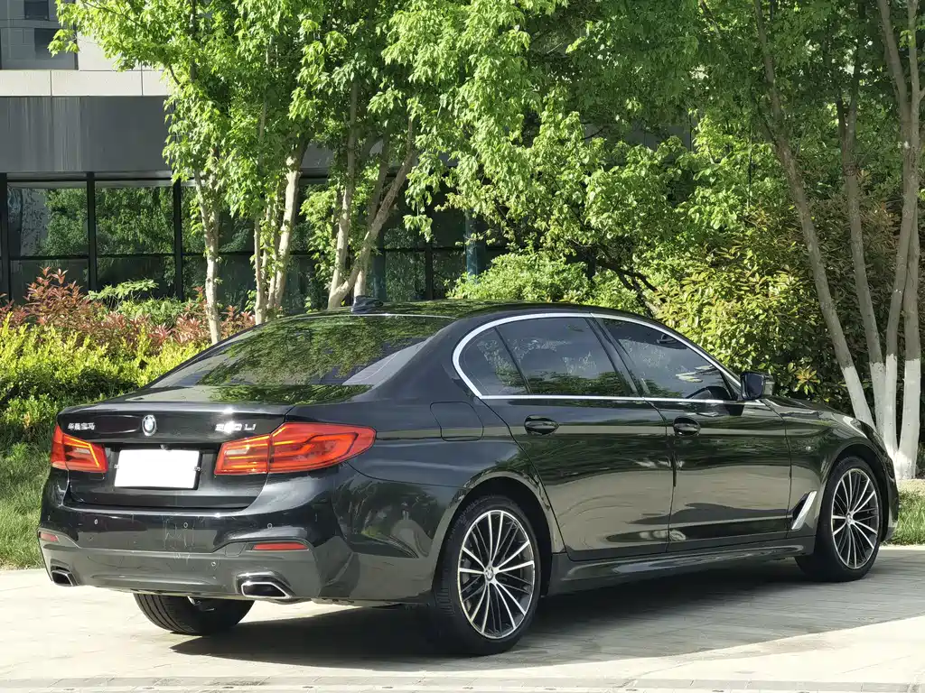 BMW 5 Series 2020 530Li Leading M Sports Package купить на сайте DeffCars