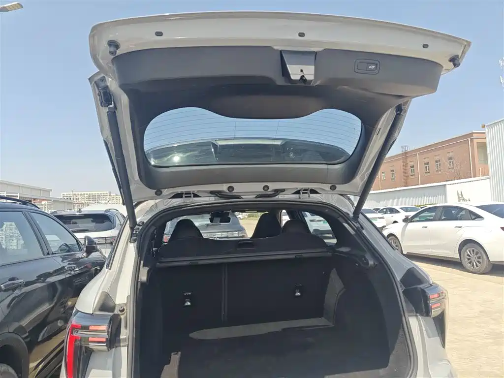 Lynk & Co 01 2023 1.5TD EM-F AM купить на сайте DeffCars