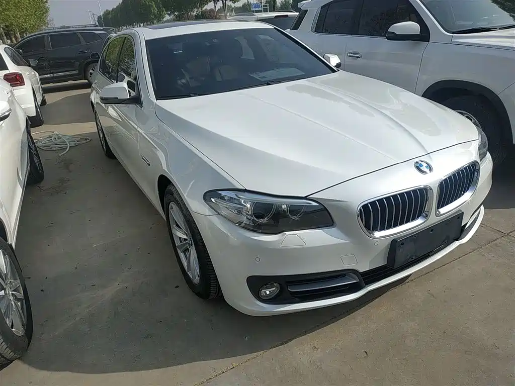 BMW 5 Series 2017 520Li Elegant купить на сайте DeffCars