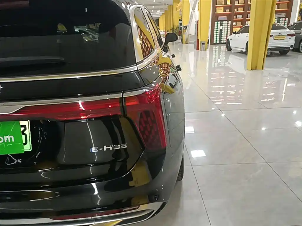 Hongqi E-HS9 2022 model 690km flagship version six seats купить на сайте DeffCars